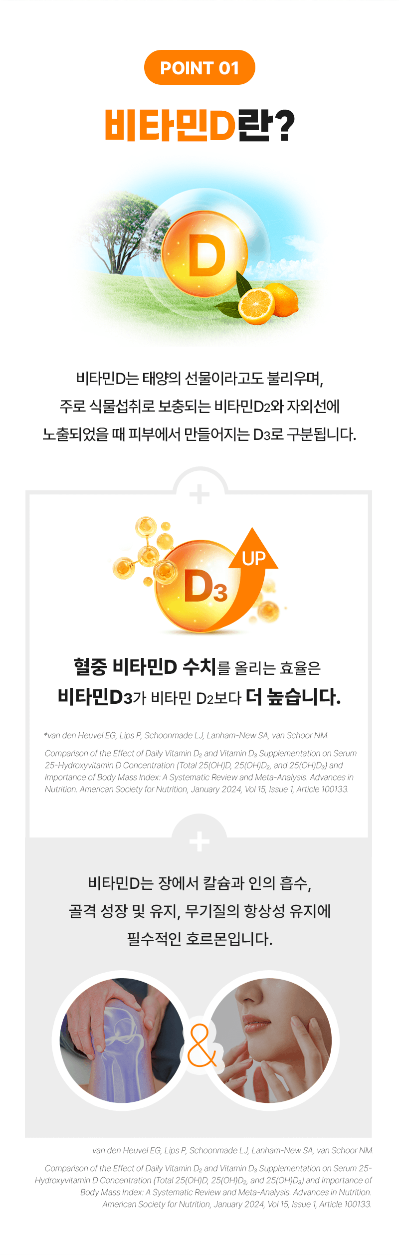 섹션2 컨텐츠