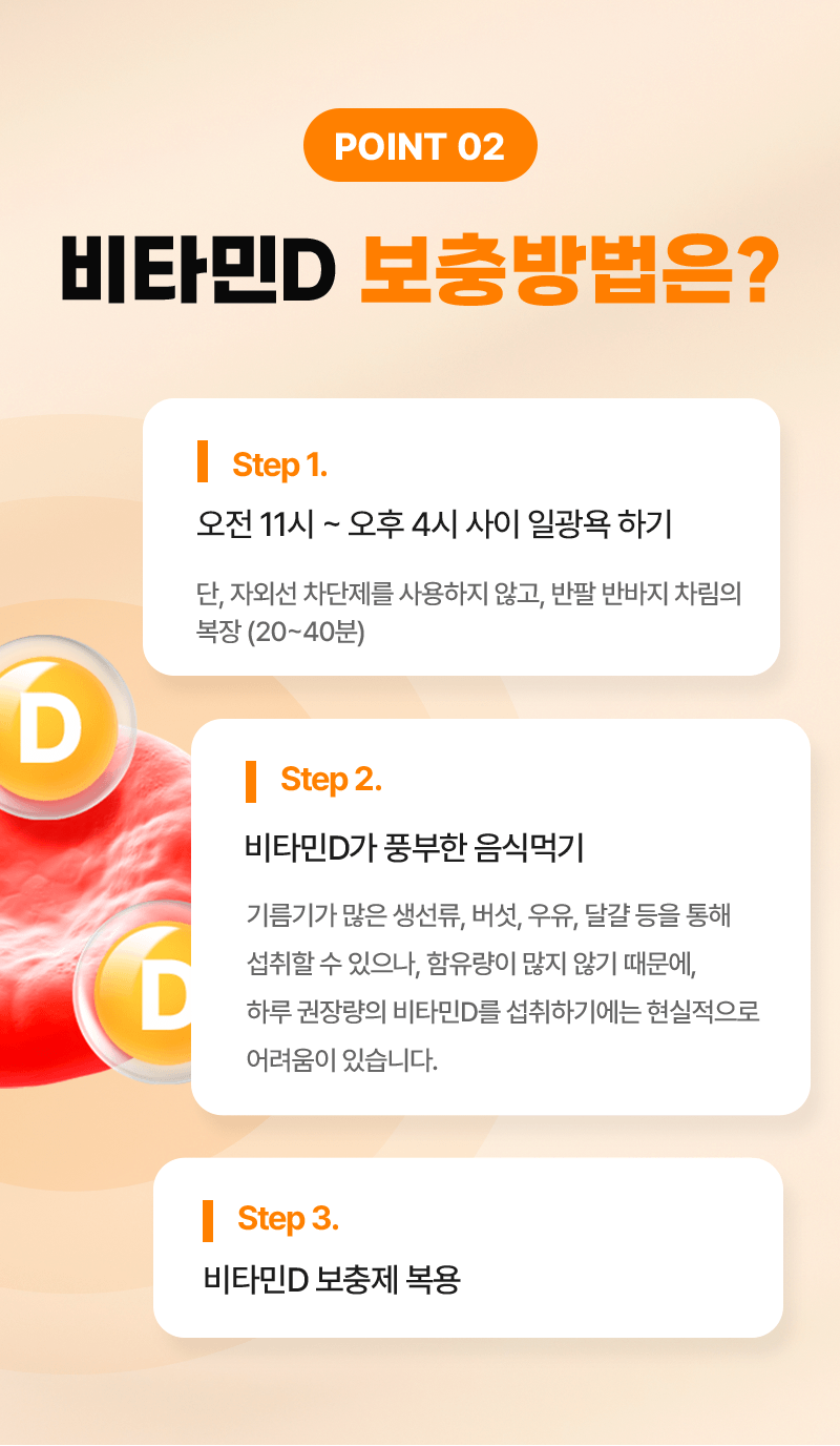 섹션4 컨텐츠