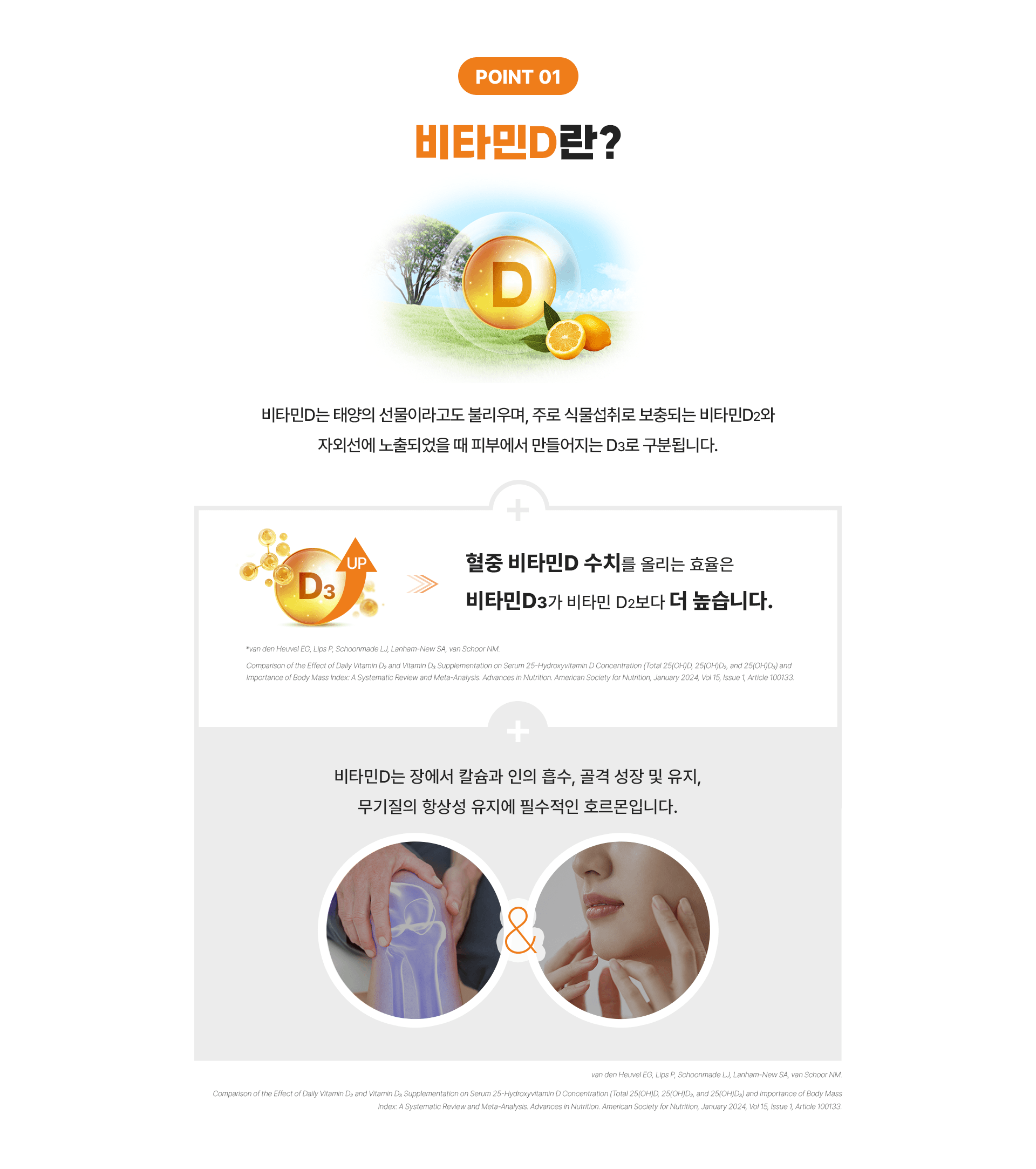 섹션2 컨텐츠
